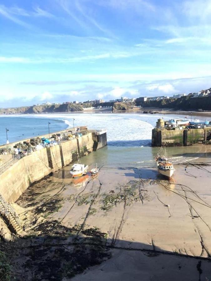 Alderberry Lodge New Quay Buitenkant foto