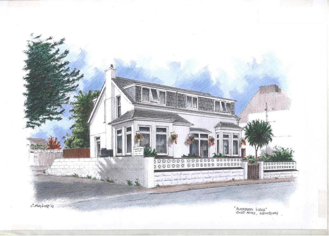 Alderberry Lodge New Quay Buitenkant foto